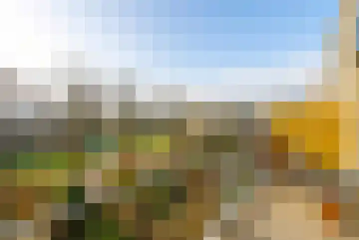 Texel 55 Utrecht thumbnail 4