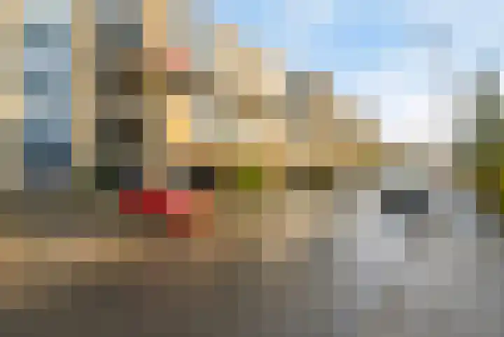 Texel 55 Utrecht thumbnail 5