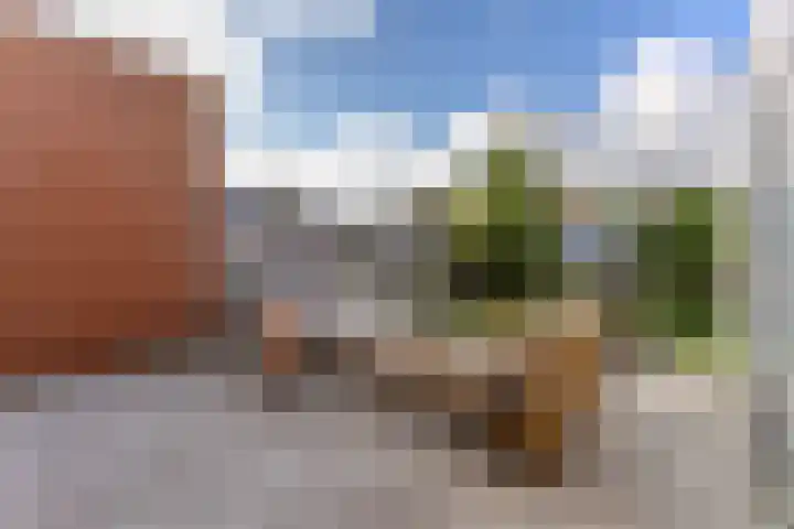 Texel 7 Heemskerk thumbnail 11