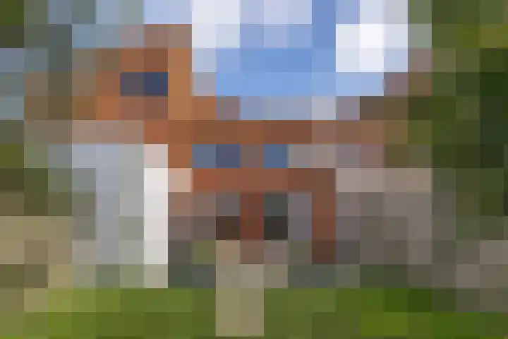 Texel 7 Heemskerk thumbnail 12