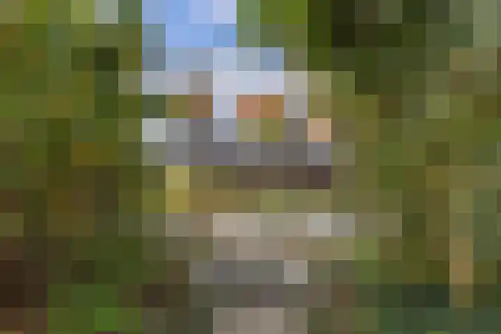 Texel 7 Heemskerk thumbnail 13
