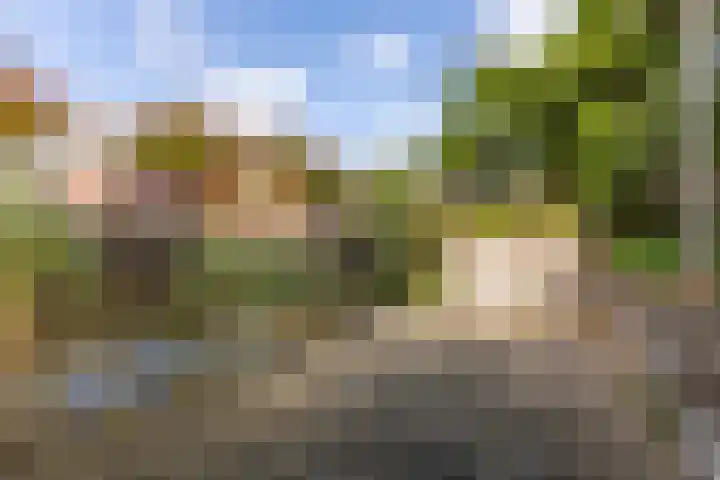 Texel 7 Heemskerk thumbnail 14