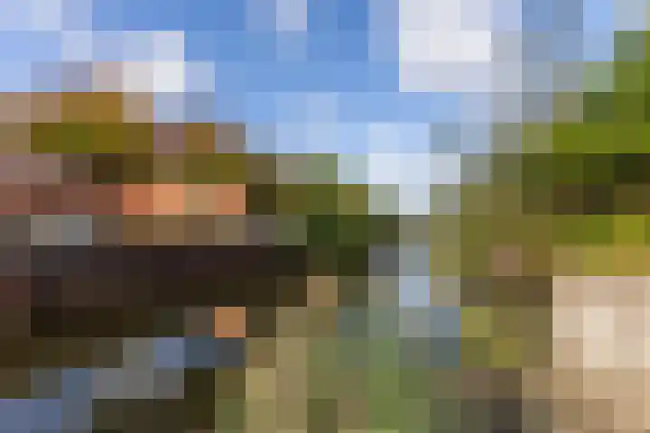 Texel 7 Heemskerk thumbnail 15