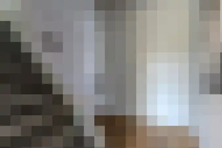 Texel 7 Heemskerk thumbnail 16