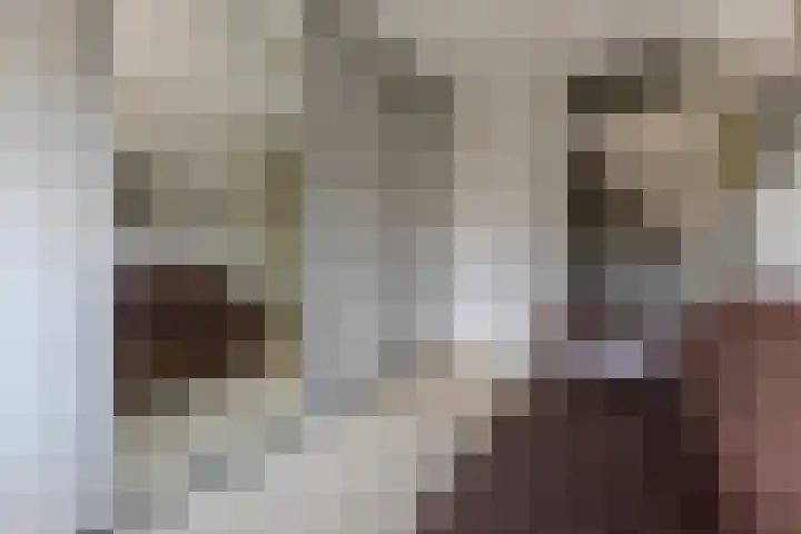 Texel 7 Heemskerk thumbnail 21