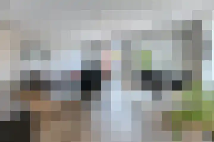 Texel 7 Heemskerk thumbnail 5