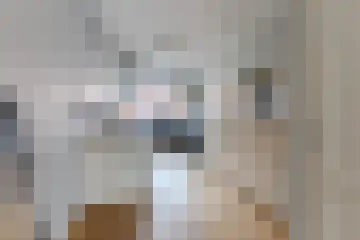 Texel 7 Heemskerk thumbnail 7