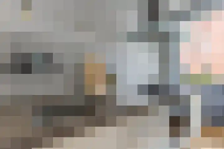 Texel 7 Heemskerk thumbnail 8