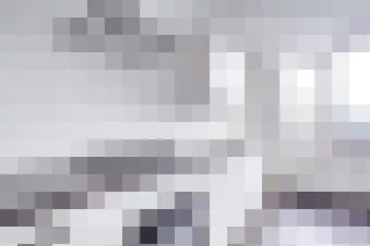 Texel 83 Utrecht thumbnail 10