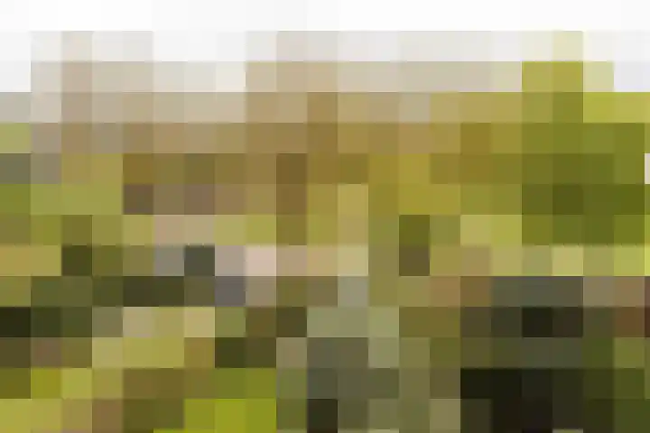 Texel 83 Utrecht thumbnail 23