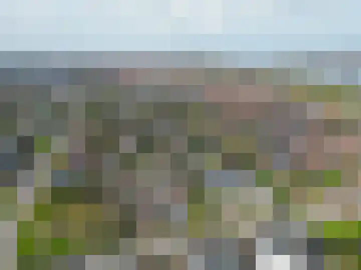 Texel 83 Utrecht thumbnail 27