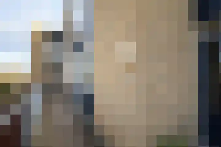 Texel 83 Utrecht thumbnail 30