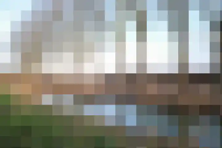 Texel 83 Utrecht thumbnail 32