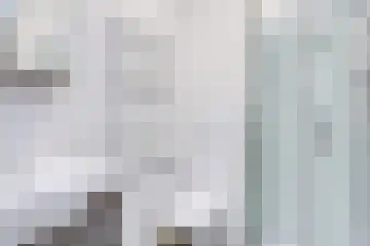 Texel 83 Utrecht thumbnail 4