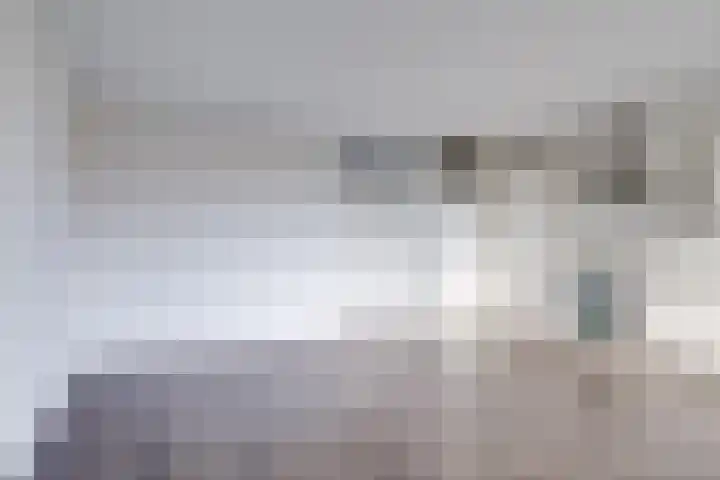 Texel 83 Utrecht thumbnail 9
