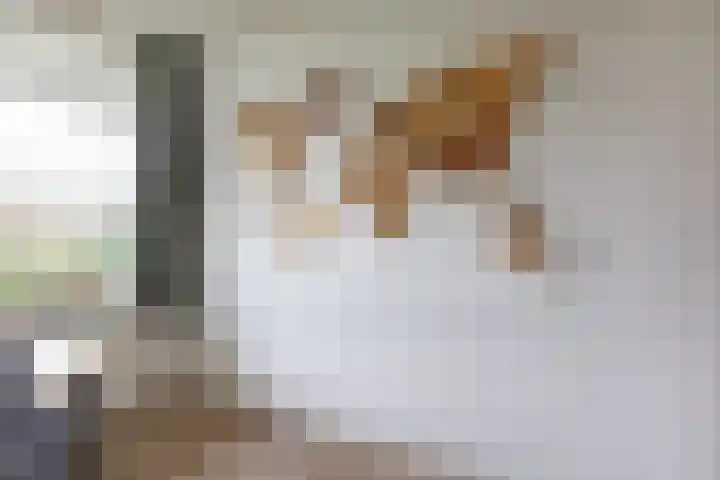 Texel 93 Utrecht thumbnail 32