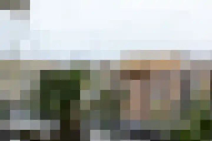 Texel 93 Utrecht thumbnail 40