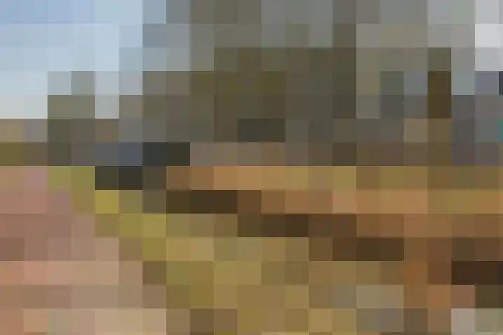 Texel 93 Utrecht thumbnail 53