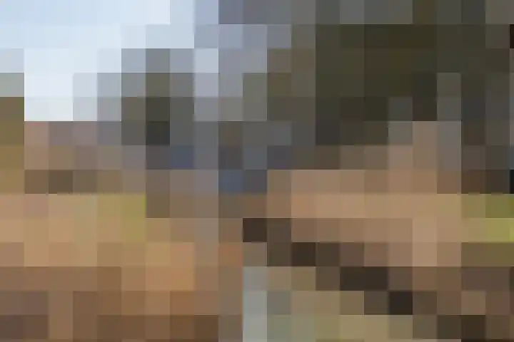 Texel 93 Utrecht thumbnail 54
