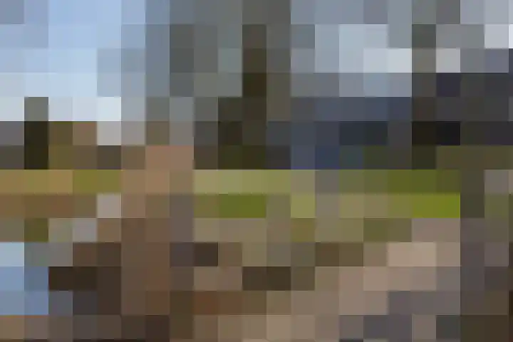 Texel 93 Utrecht thumbnail 55