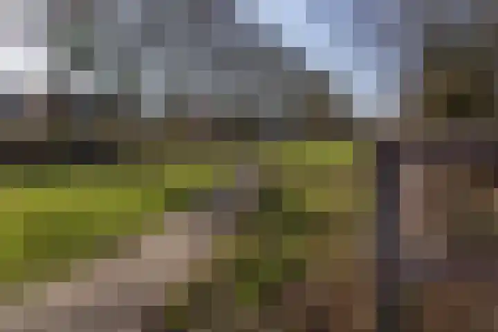 Texel 93 Utrecht thumbnail 57