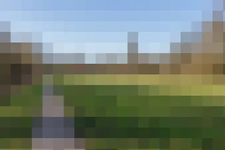 Texel 93 Utrecht thumbnail 58
