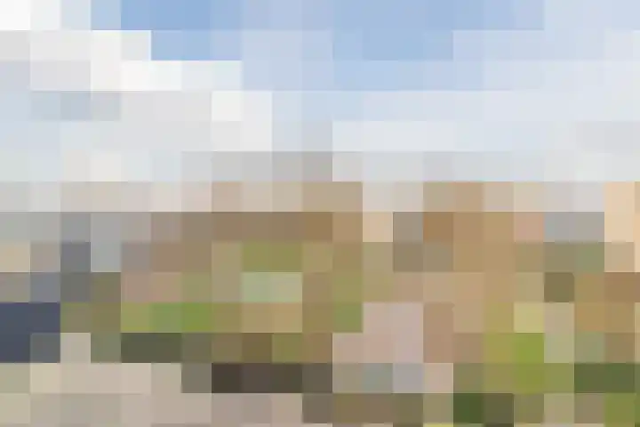 Texel 97 Utrecht thumbnail 16