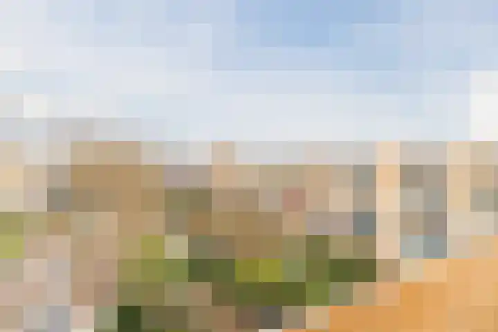 Texel 97 Utrecht thumbnail 17