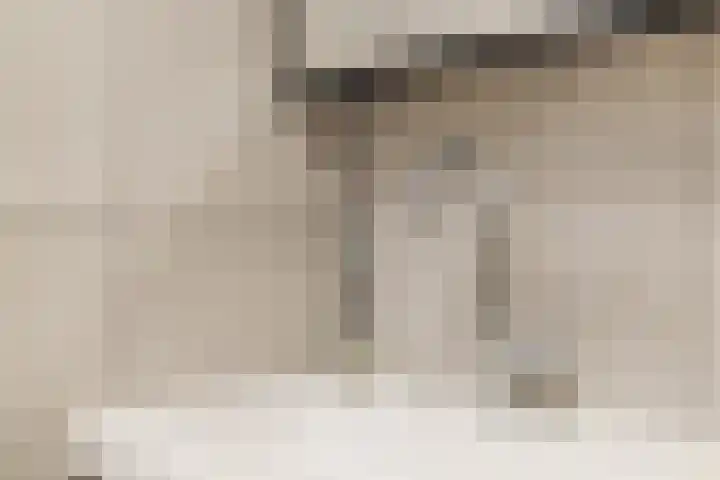 Texel 97 Utrecht thumbnail 37