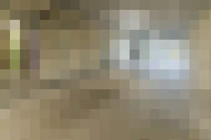 Texel 97 Utrecht thumbnail 49