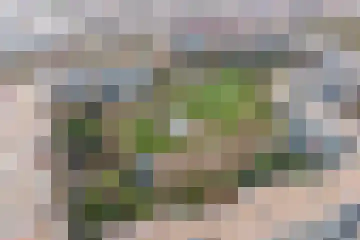 Texel 97 Utrecht thumbnail 54