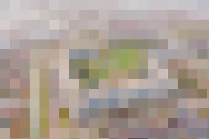 Texel 97 Utrecht thumbnail 55
