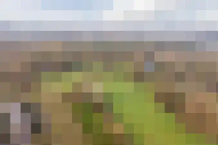 Texel 97 Utrecht thumbnail 56