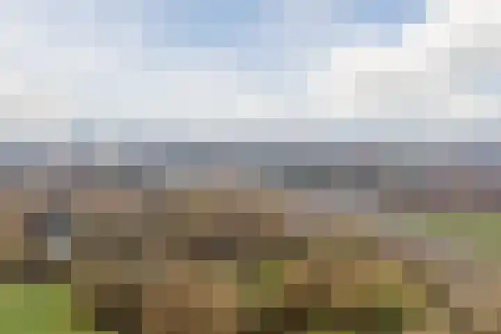 Texel 97 Utrecht thumbnail 57