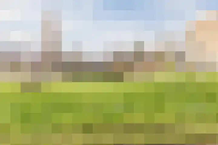 Texel 97 Utrecht thumbnail 58