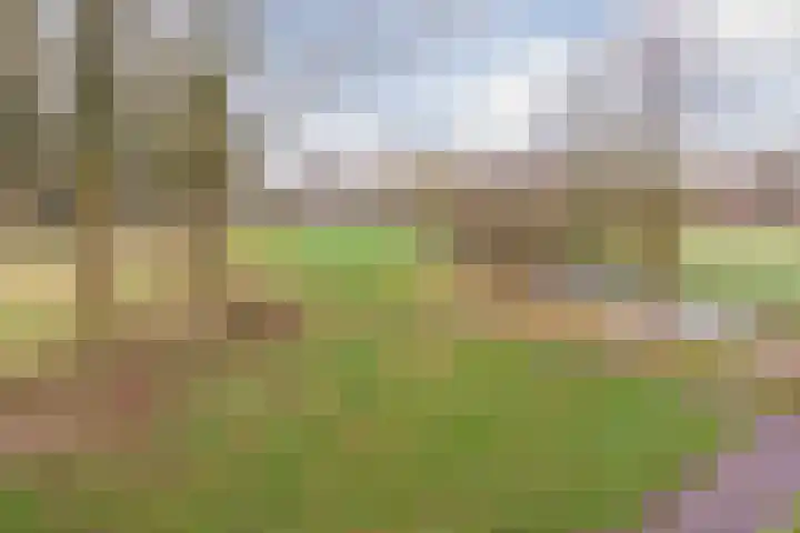 Texel 97 Utrecht thumbnail 59