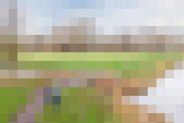 Texel 97 Utrecht thumbnail 60