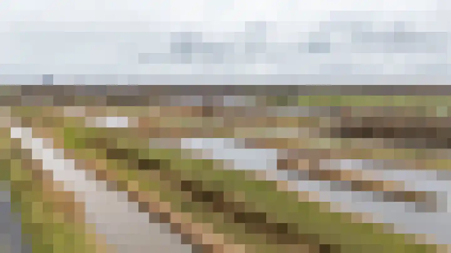 Texelaar 11 Meerstad thumbnail 67
