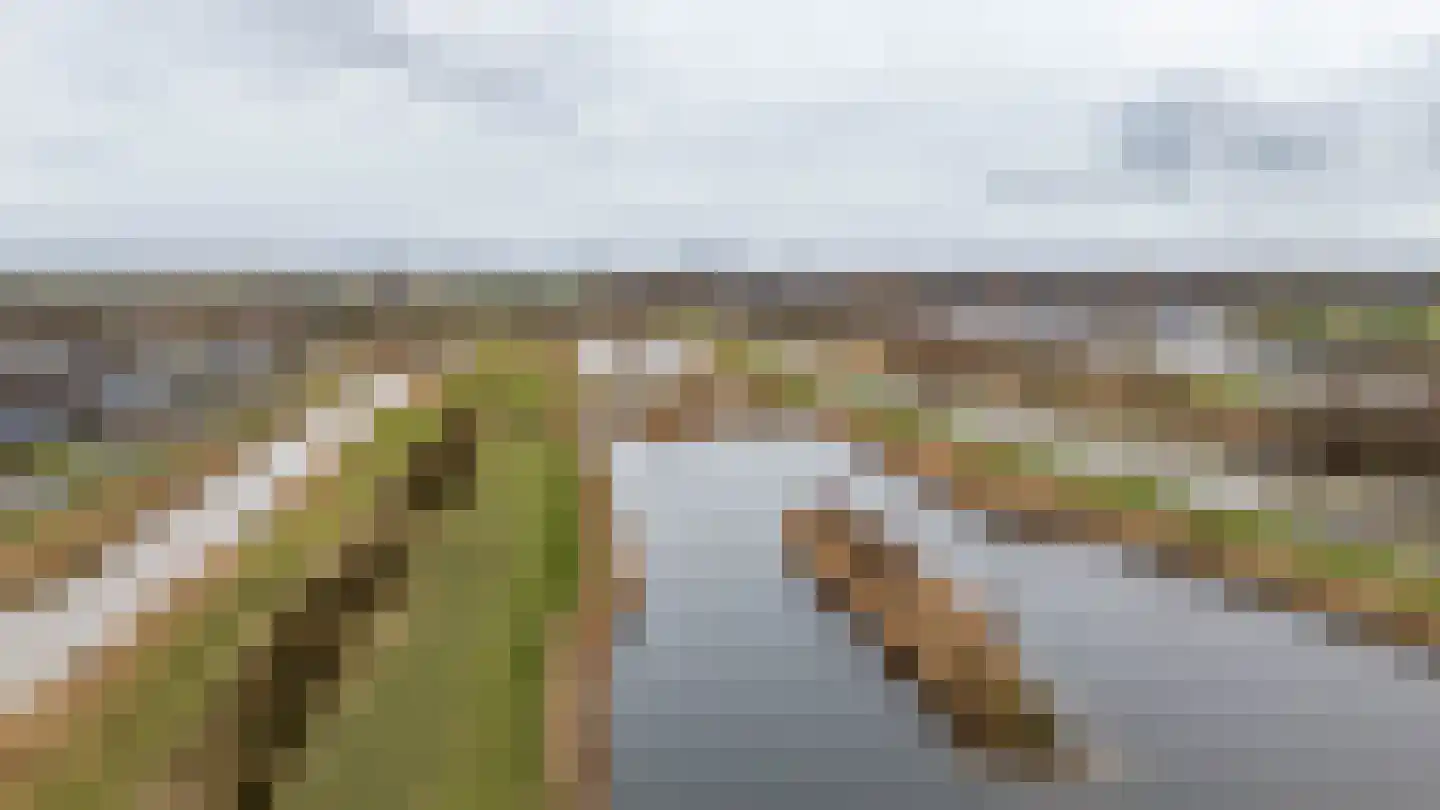 Texelaar 11 Meerstad thumbnail 68