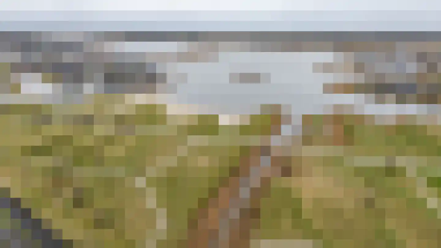 Texelaar 11 Meerstad thumbnail 69