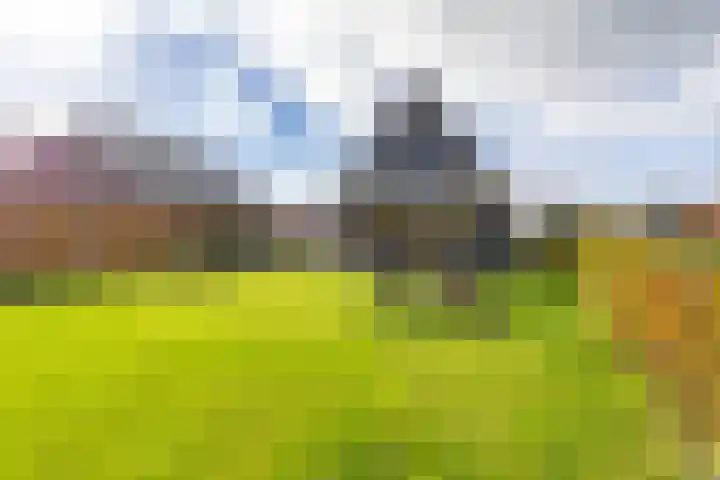 Texelaar 5 Meerstad thumbnail 5