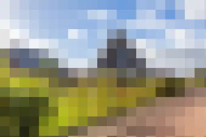 Texelaar 5 Meerstad thumbnail 69