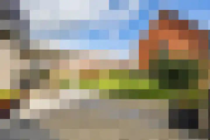 Texelaar 5 Meerstad thumbnail 73