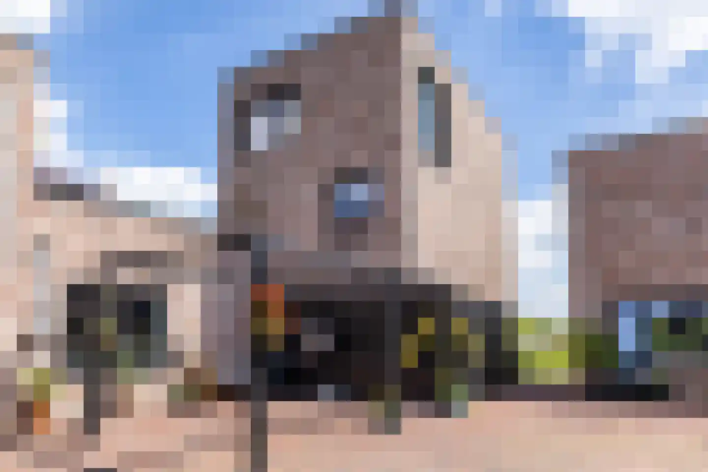 Texelaar 9 c Meerstad thumbnail 7