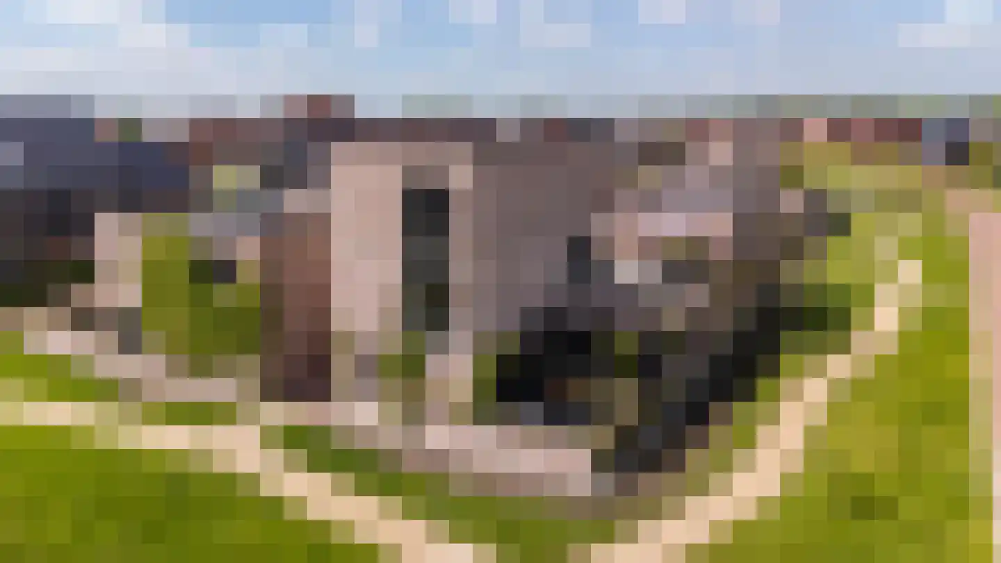 Texelaar 9 c Meerstad thumbnail 73