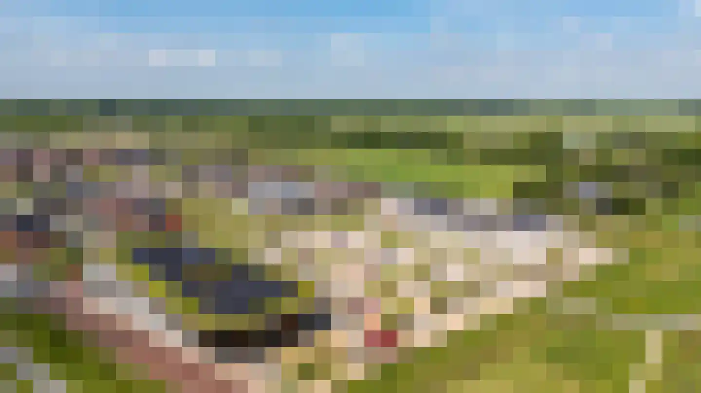 Texelaar 9 c Meerstad thumbnail 79