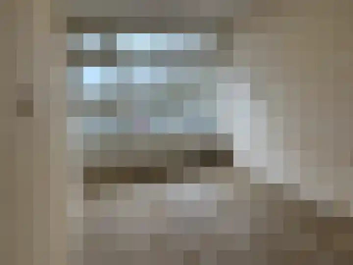 Texelhof 1 Haarlem thumbnail 16