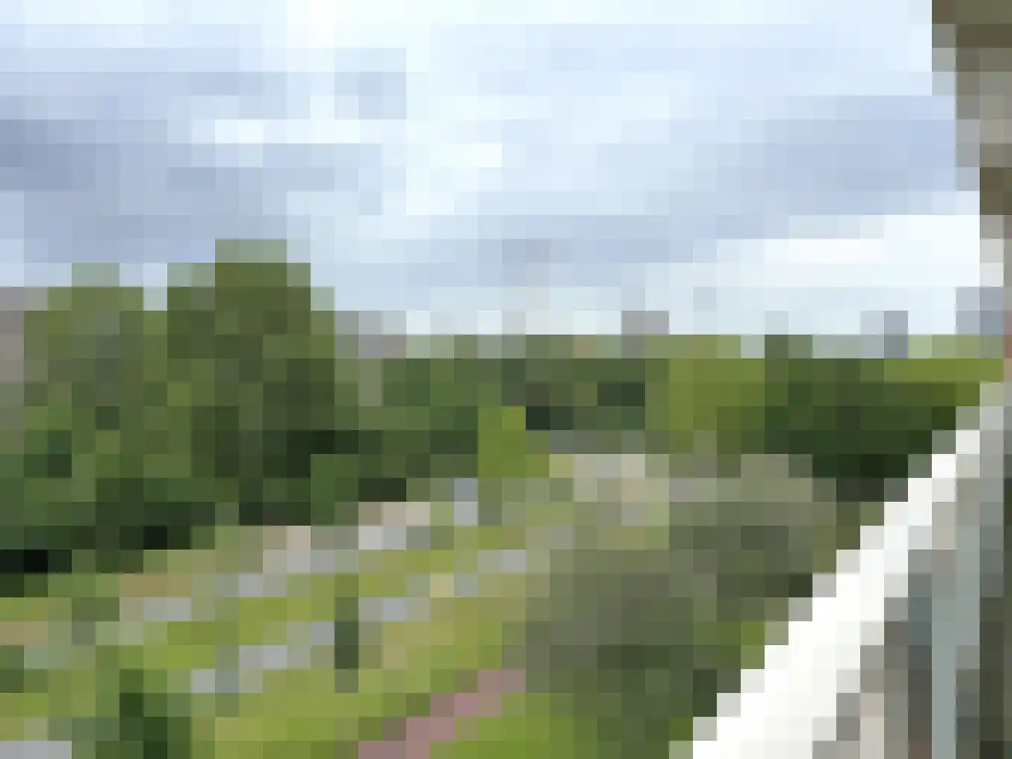 Texelhof 111 Haarlem thumbnail 21