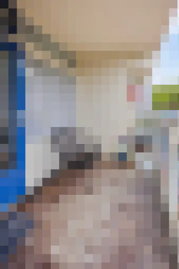 Texelhof 21 Haarlem thumbnail 23