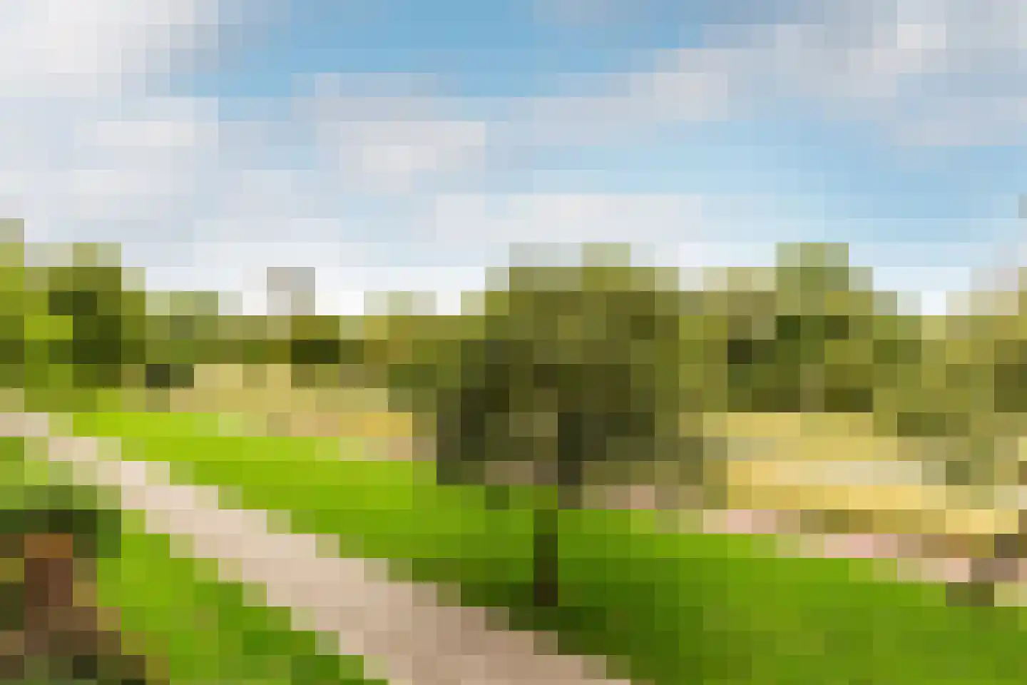 Texelhof 45 Haarlem thumbnail 11